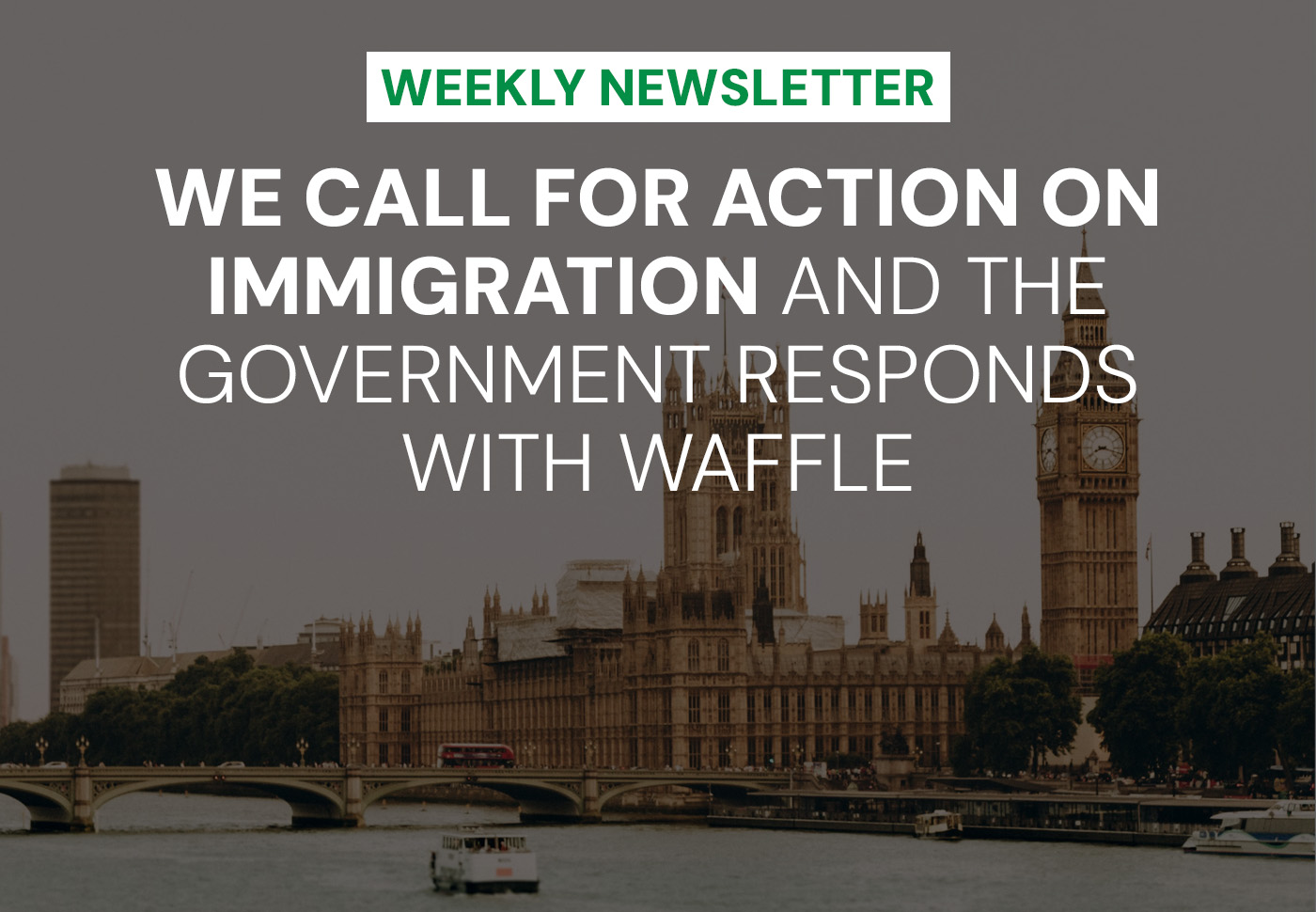 we-call-for-action-on-immigration-and-the-government-responds-with-waffle